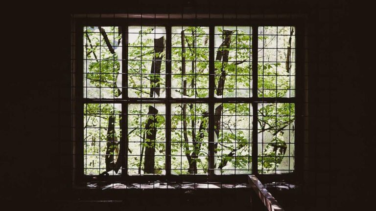 Can Users Play Without Installing The 11Xplay Online App?